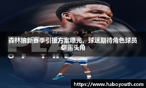 森林狼新赛季引援方案曝光，球迷期待角色球员崭露头角