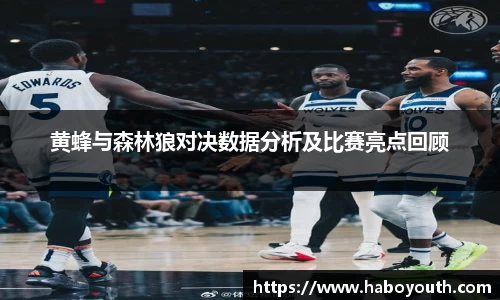 黄蜂与森林狼对决数据分析及比赛亮点回顾