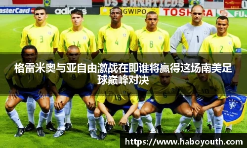 星空体育网站入口