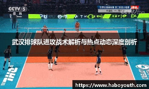 武汉排球队进攻战术解析与热点动态深度剖析
